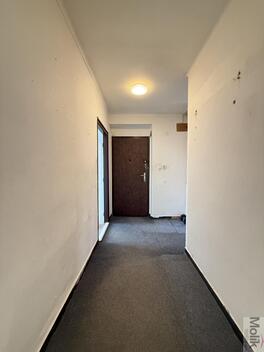 foto02_11462763_lqpe4.jpg