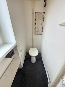 foto02_11462763_t6jg0.jpg