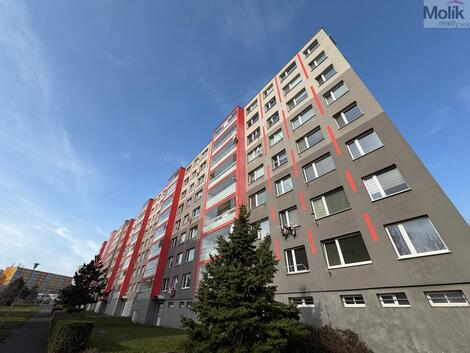 foto02_11462766_k9bv4.jpg