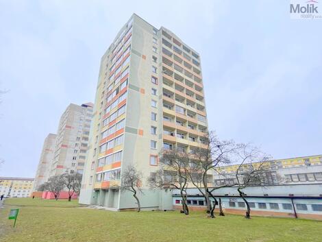 foto02_11463831_yxmow.jpg