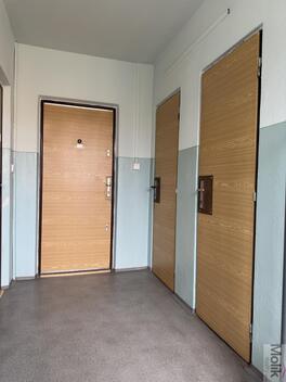 foto02_11468408_h9tc8.jpg