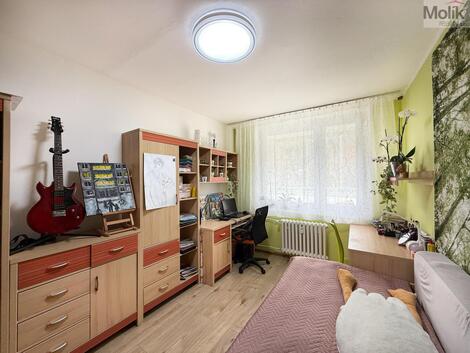 foto02_11471367_1kcxl8.jpg