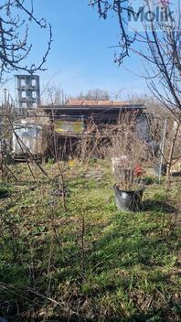 foto02_11472984_114ces.jpg