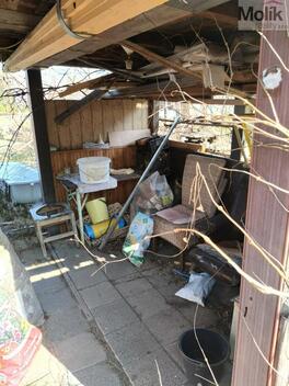 foto02_11472984_1gfrkg.jpg