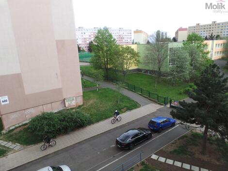 foto02_11477413_7oosw.jpg