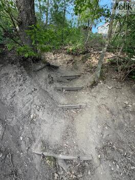 foto02_11478241_1cit6o.jpg