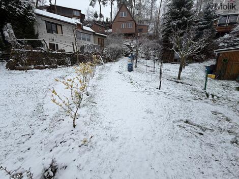 foto02_11478241_eizus.jpg