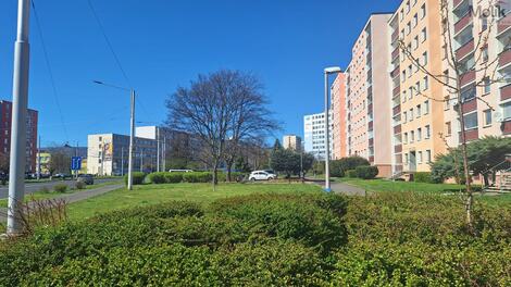 foto02_11481750_288qg.jpg