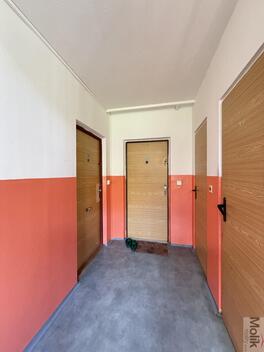 foto02_11481754_1dutqg.jpg