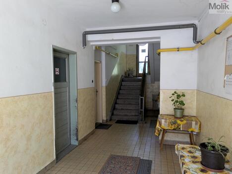 foto02_11487592_1kllpc.jpg