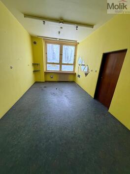 foto02_11489516_rhed4.jpg