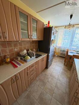foto02_11490242_w0sgo.jpg