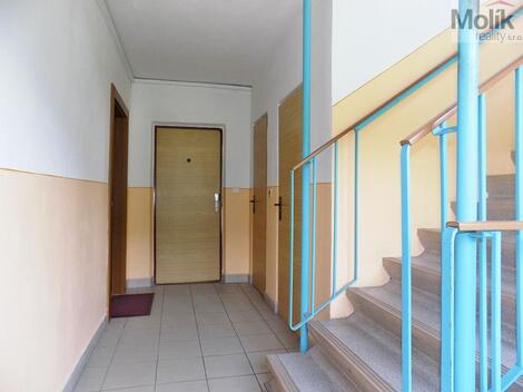 foto02_11491585_3v08s.jpg