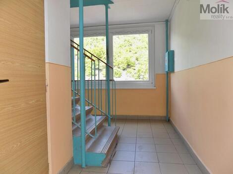 foto02_11491585_zfzkk.jpg