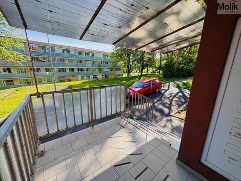 foto02_11497152_3w0qo.jpg
