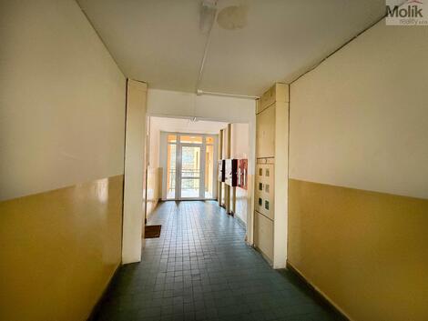 foto02_11500689_1ljdzg.jpg