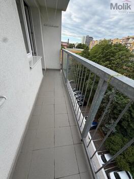 foto02_11505534_ngvw8.jpg