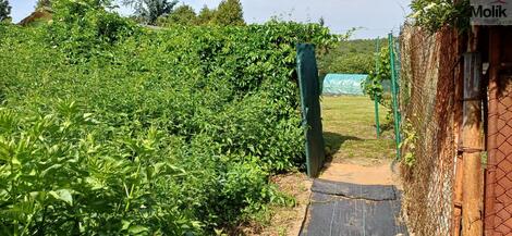 foto02_11508760_10dnx0.jpg