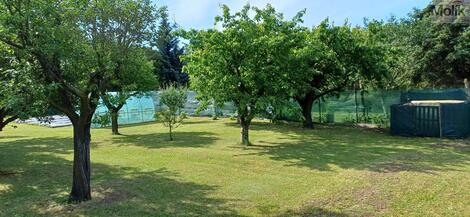 foto02_11508760_12cv40.jpg