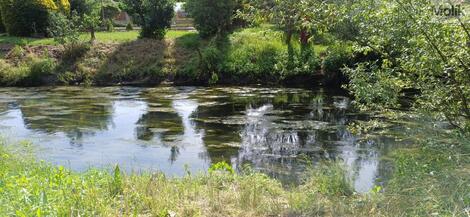 foto02_11508760_15xqp0.jpg