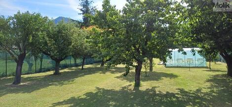 foto02_11508760_jwb9o.jpg