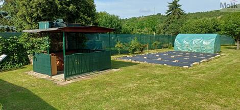 foto02_11508760_nskhw.jpg