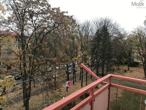 foto02_11508762_1baay4.jpg