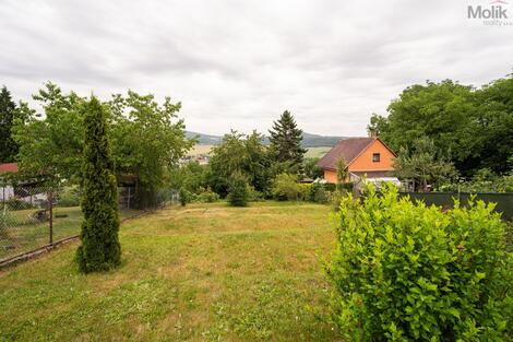 foto02_11509234_97ek0.jpg