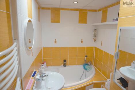 foto02_11514159_1i4cic.jpg