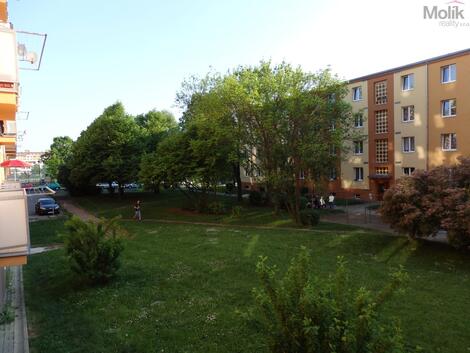 foto02_11515564_apm6c.jpg