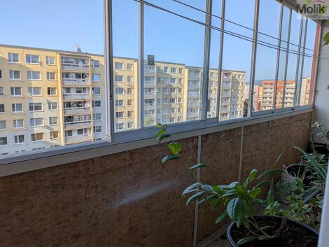 foto02_11517778_zhx0k.jpg