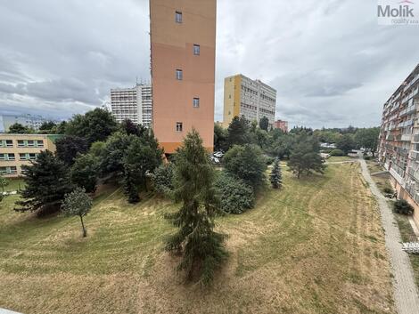 foto02_11519850_1bsk1o.jpg