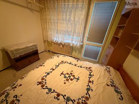 foto02_11519851_1lnbyk.jpg