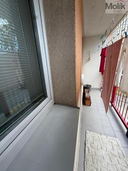 foto02_11519851_j5uc4.jpg