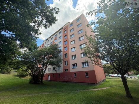 foto02_11519853_wzsf0.jpg