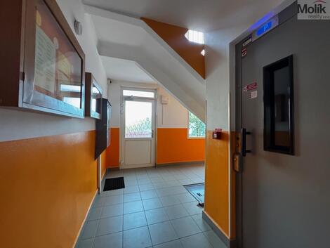 foto02_11525667_15z2gg.jpg