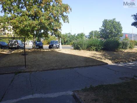 foto02_11534778_8blyg.jpg