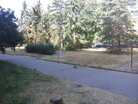 foto02_11534778_zqvus.jpg