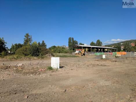 foto02_11534785_1k4qzo.jpg