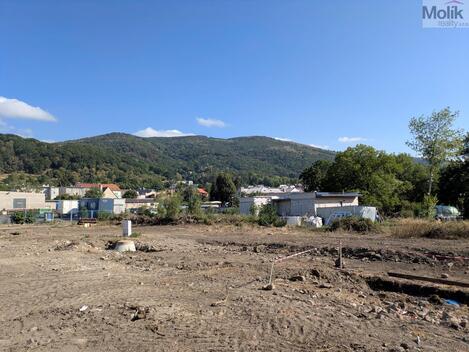 foto02_11534785_xm0yg.jpg