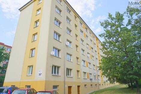 foto02_11535462_lgrwo.jpg