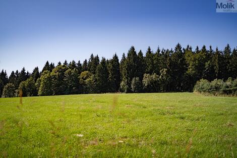 foto02_11536938_1l2nfs.jpg