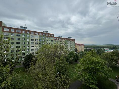 foto02_11537808_1mbsto.jpg