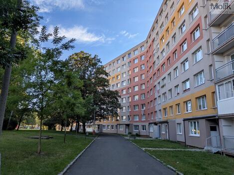 foto02_11540957_jxzas.jpg