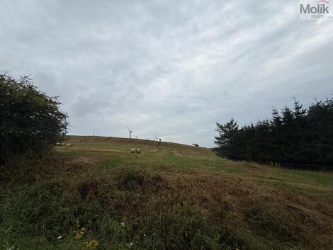 foto02_11540958_14ykc4.jpg