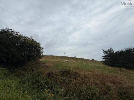 foto02_11540958_87b68.jpg
