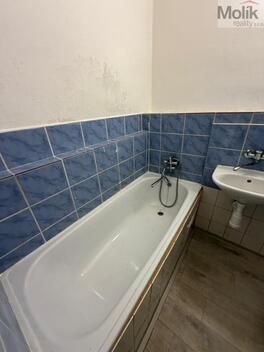 foto02_11540961_6xx2g.jpg