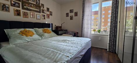 foto02_11542121_b2ai4.jpg