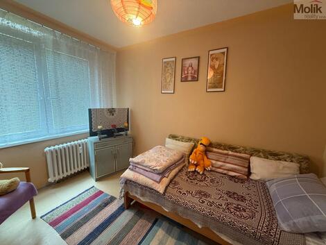 foto02_11545526_k5pb4.jpg