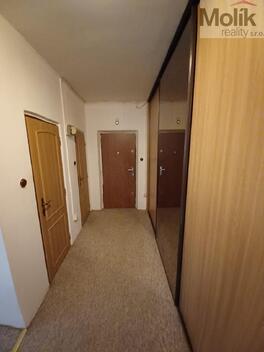 foto02_11548425_1d1gy0.jpg